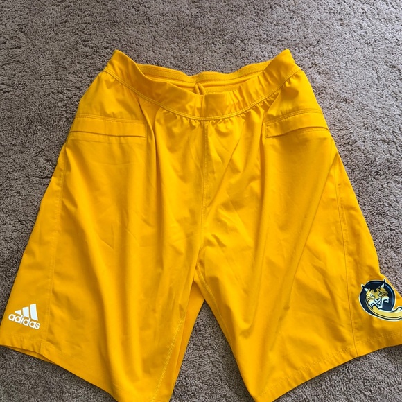 adidas Other - Adidas shorts